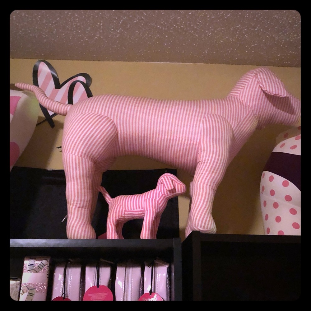 Vs pink display Dog